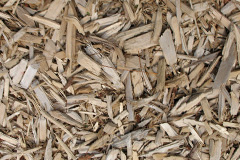 biomass boilers Truscott