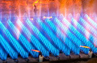 Truscott gas fired boilers
