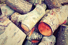 Truscott wood burning boiler costs